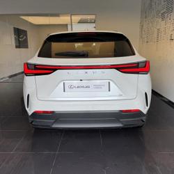 Lexus NX 350h Luxe 2WD MY24 Cesson-S&eacute;vign&eacute;
