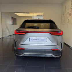 Lexus NX 450h+ F SPORT Executive 4WD MY24 Cesson-S&eacute;vign&eacute;