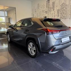 Lexus UX 250h Pack 2WD Cesson-S&eacute;vign&eacute;