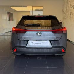 Lexus UX 250h Executive 2WD Cesson-S&eacute;vign&eacute;