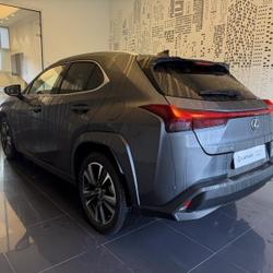 Lexus UX 250h Executive 2WD Cesson-S&eacute;vign&eacute;