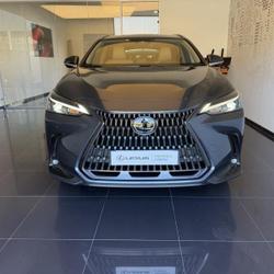 Lexus NX 350h Luxe 2WD MY24 Cesson-S&eacute;vign&eacute;
