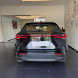 Lexus NX 350h Pack 2WD MY25 Cesson-S&eacute;vign&eacute;