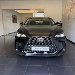 Lexus NX 350h Pack 2WD MY25 Cesson-S&eacute;vign&eacute;