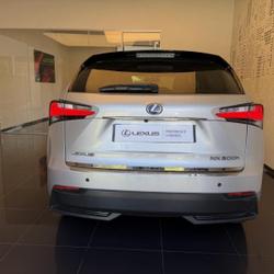 Lexus NX 300h 2WD Business Cesson-S&eacute;vign&eacute;