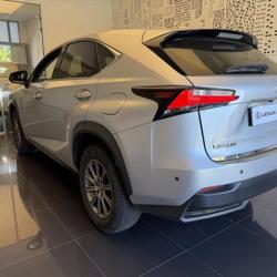 Lexus NX 300h 2WD Business Cesson-S&eacute;vign&eacute;