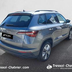 Skoda Karoq Karoq 2.0 TDI 116 ch SCR DSG7 Business Lattes