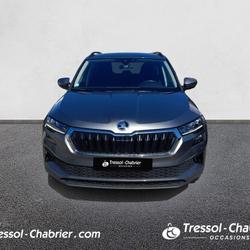 Skoda Karoq Karoq 2.0 TDI 116 ch SCR DSG7 Business Lattes