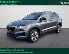 Skoda Karoq Brest