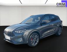 Ford Kuga Bassussarry