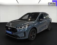 Ford Kuga Bassussarry