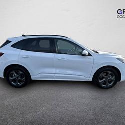 Ford Kuga Kuga 2.5 Duratec 180 ch FlexiFuel FHEV Bio&eacute;thanol Powershift ST-Line Bassussarry