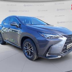 Lexus NX 350h 200ch Luxe 2WD MY26 Metz