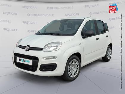 Fiat Panda - Pandina 1.0 65ch BSG S&S Hybrid Icône - 15 490 €