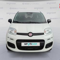 Fiat Panda Pandina 1.0 65ch BSG S&S Hybrid Ic&ocirc;ne Belfort