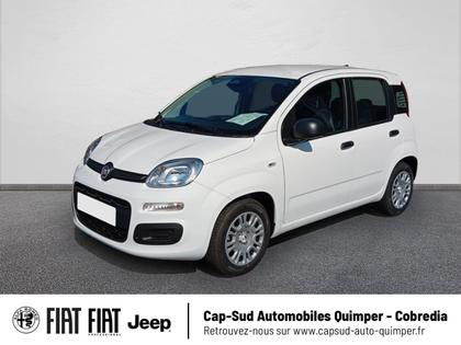 Fiat Panda - Pandina 1.0 65ch BSG S&S Hybrid Icône - 14 900 €