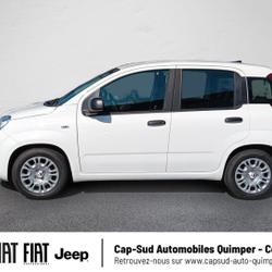 Fiat Panda Pandina 1.0 65ch BSG S&S Hybrid Ic&ocirc;ne Quimper