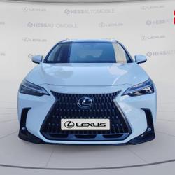 Lexus NX 350h 200ch Luxe Plus 2WD MY26 Souffelweyersheim