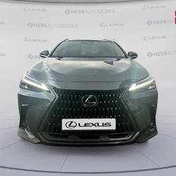 Lexus NX 450h+ 292ch Executive 4WD MY26 Souffelweyersheim