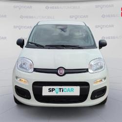 Fiat Panda Pandina 1.0 65ch BSG S&S Hybrid Ic&ocirc;ne Belfort