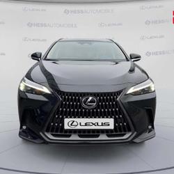 Lexus NX 450h+ Luxe 4WD MY25 Metz