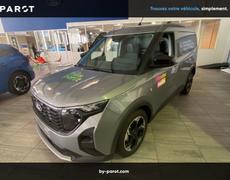 Ford Transit Limoges