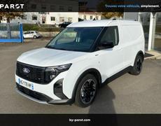 Ford Transit Limoges