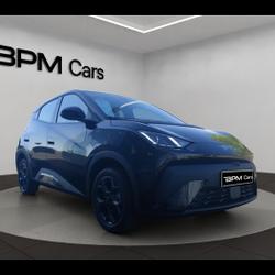 BYD Dolphin Surf 88ch - 43,2 kWh Boost La Chauss&eacute;e-Saint-Victor