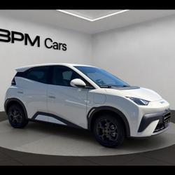 BYD Dolphin 88ch - 43,2 kWh Boost Alen&ccedil;on