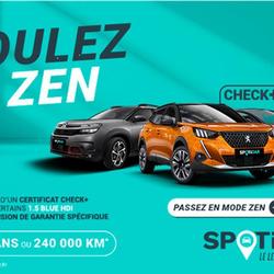 DS DS4 BlueHDi 130 EAT8 Performance Line+ Valr&eacute;as