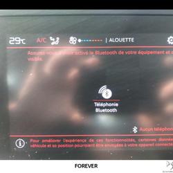 Citroen C3 Aircross C3 Aircross PureTech 110 S&S BVM6 Feel Chinon