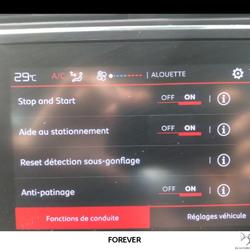 Citroen C3 Aircross C3 Aircross PureTech 110 S&S BVM6 Feel Chinon