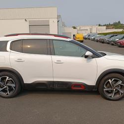 Citroen C5 Aircross C5 Aircross BlueHDi 130 S&S EAT8 Shine Saumur