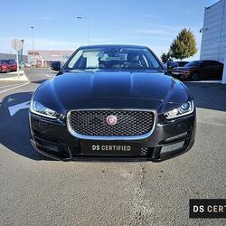 Jaguar XE 2.0 D - 163 ch BVA E-Performance Pure Saumur