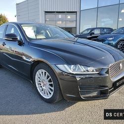 Jaguar XE 2.0 D - 163 ch BVA E-Performance Pure Saumur