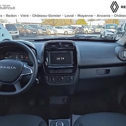 Dacia Spring Extreme Foug&egrave;res