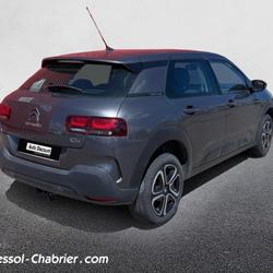 Citroen C4 Cactus C4 Cactus BlueHDi 100 S&S BVM6 Shine Auch
