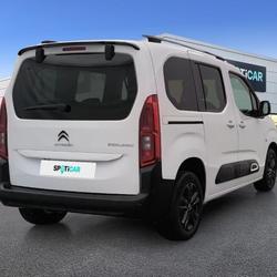 Citroen Berlingo Berlingo Taille M BlueHDi 100 BVM Shine Le Cr&egrave;s