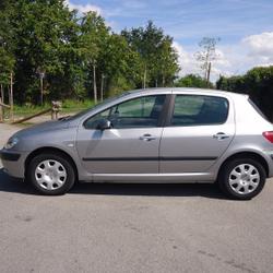 Peugeot 307 1.6i 16V XR Presence Saint-Philbert-de-Grand-Lieu