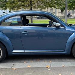 Volkswagen Coccinelle 1.2 TSI 105 BLUEMOTION ORIGIN DSG BVA Bordeaux