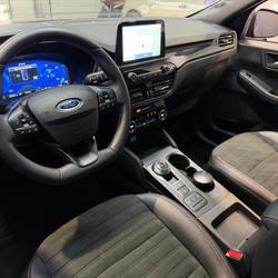 Ford Kuga 2.5 DURATEC 225 H 150 HYBRID PHEV ST LINE - CARPLAY - AUTOMATIQUE Auray