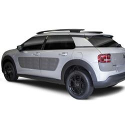 Citroen C4 Cactus C4 Cactus PureTech 82 Feel Mouilleron-le-Captif