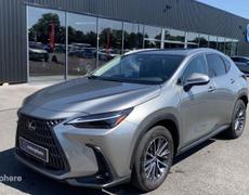 Lexus NX Rezé