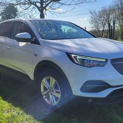 Opel Grandland 1.5 Diesel 130 ch BVA6 BUSINESS Sainte-C&eacute;cile