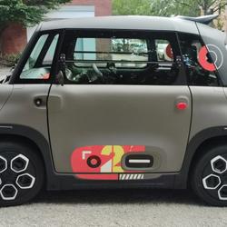 Citroen Ami 6 kWh 8 Peps Toulouse